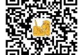 WPF – Behavior(行为)